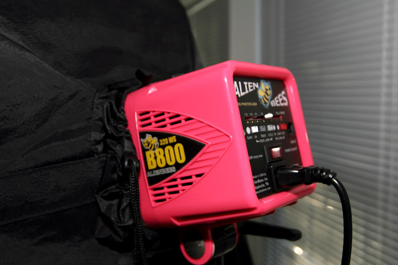 Alien Bees B800 light with softbox