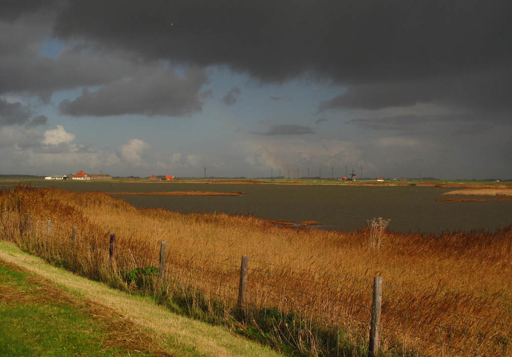 Dutch Polder