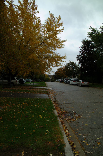 DSCF4766.jpg