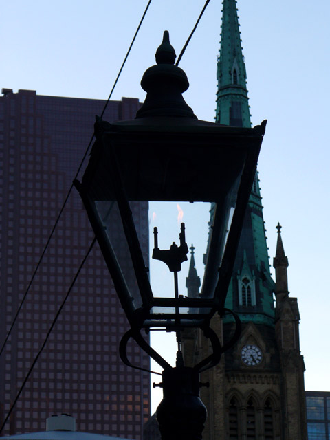 P1010248.jpg