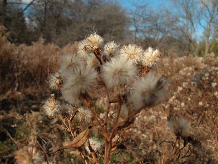 DSCN1219.JPG