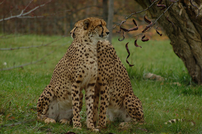 DSCF4966.jpg