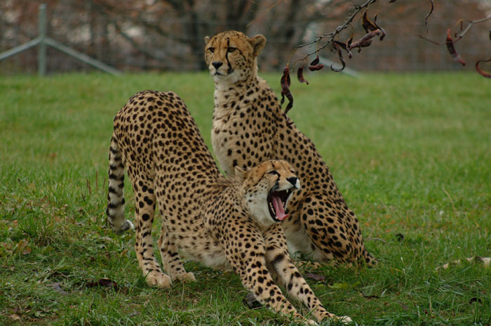 DSCF4973.jpg