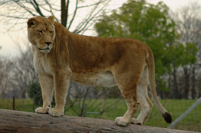 DSCF4978.jpg