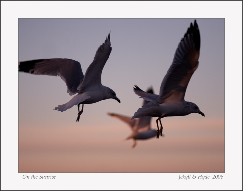 On the Sunrise