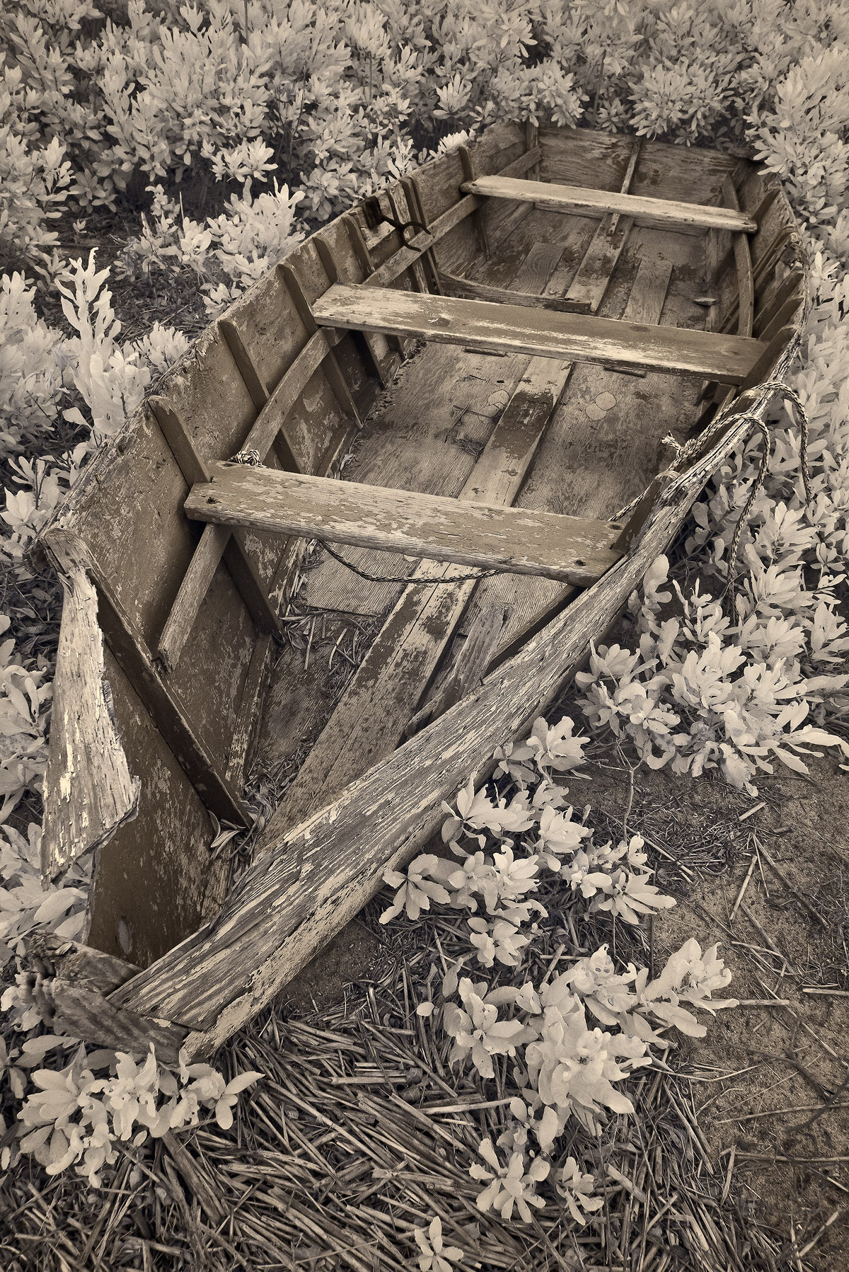 Chatham_1040199.jpg