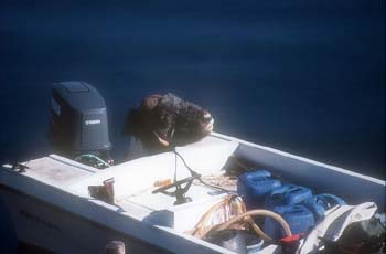 Greenland Impressions 2002