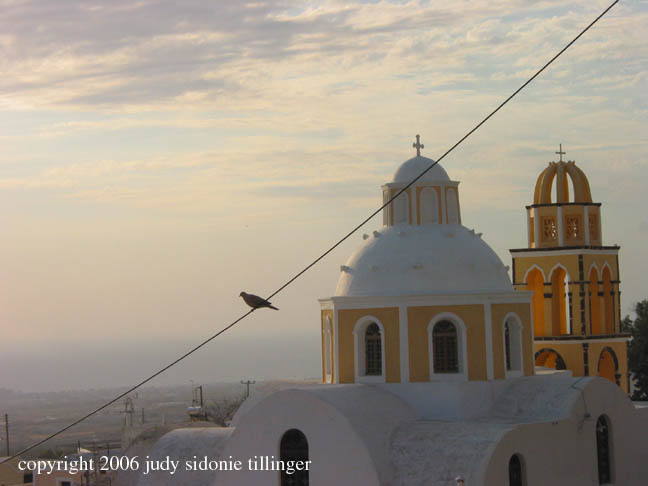 bird on a wire