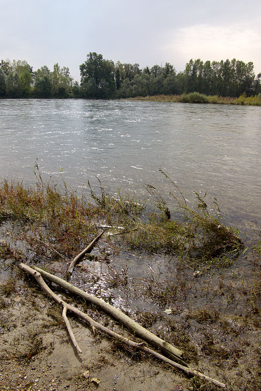 Ticino in Piena