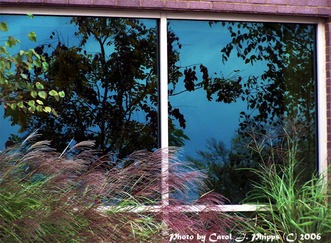 Reflections.