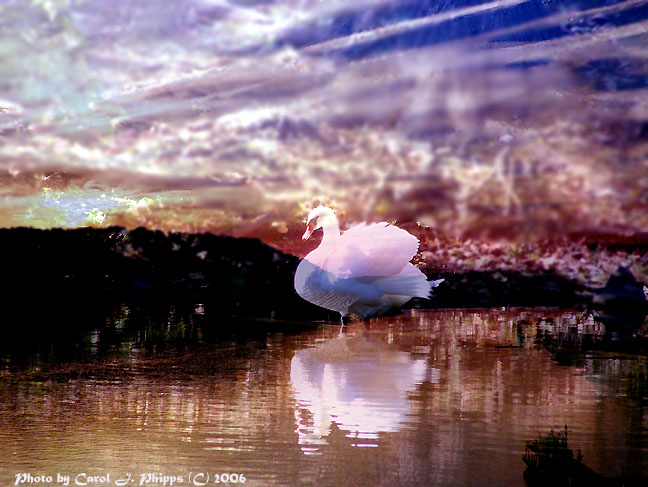 Enchanted Evening.