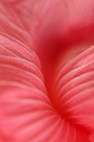 erDSCF8498.jpg