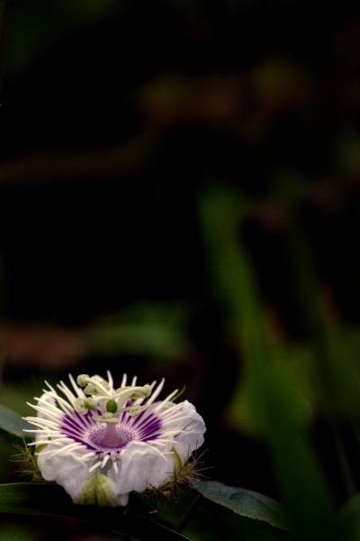erDSCF8568.jpg