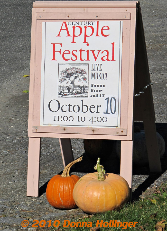 Sandwich Board for AppleFest