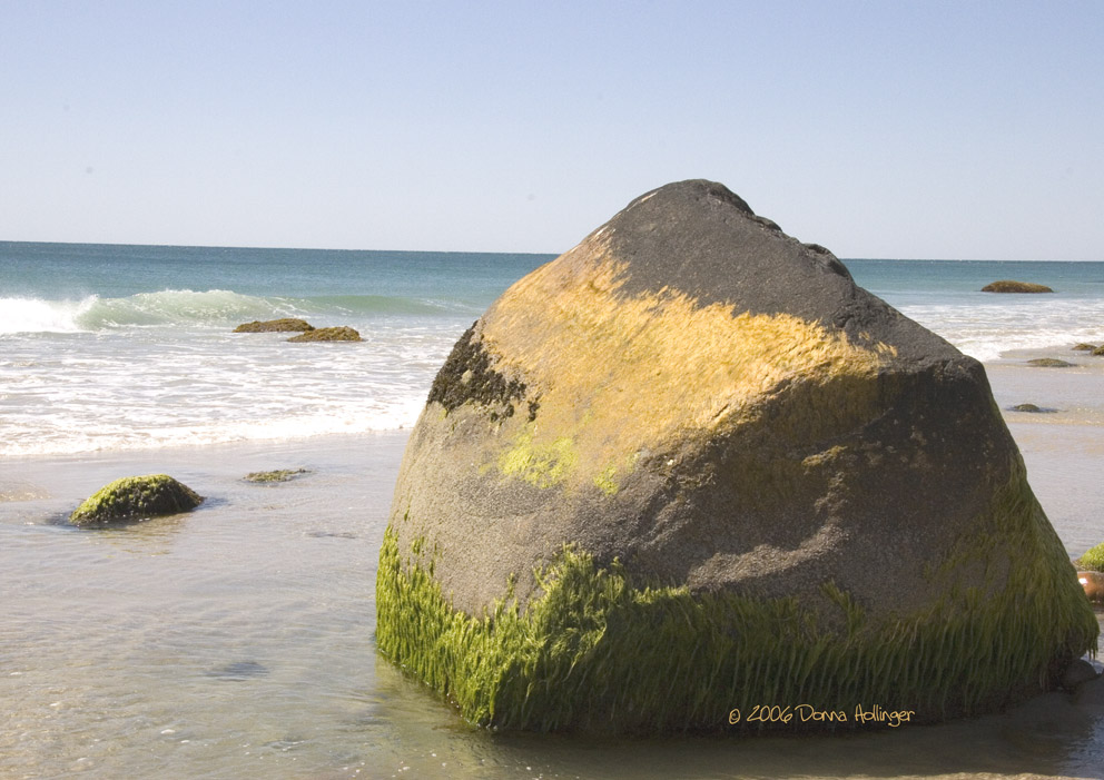 Mossy Rock on Aquinnah