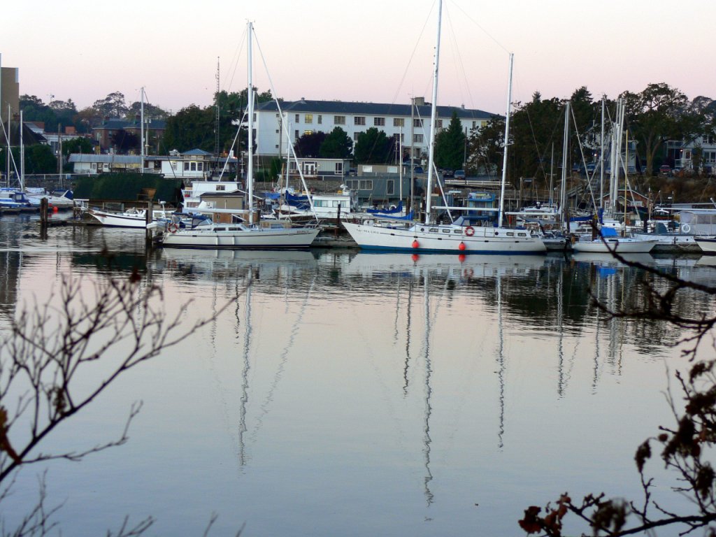 Early morning view at West Bay Marina in Victoria Harbour