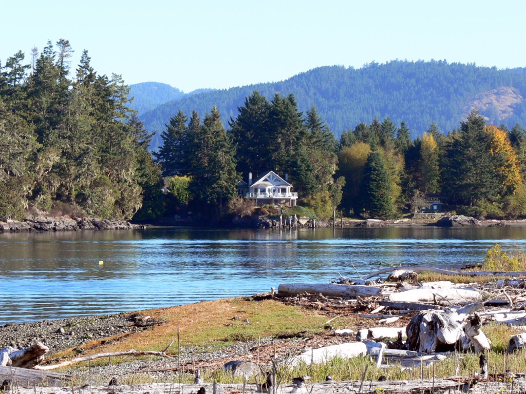 Driftwood at Whiffen Spit near Sooke (Tsou-Ke)