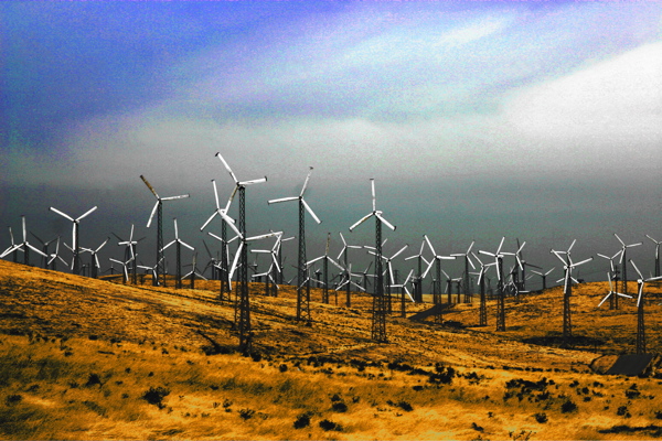 Windmill Farm