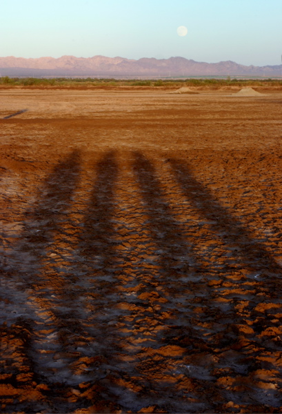 <br><br>Four At Sunset