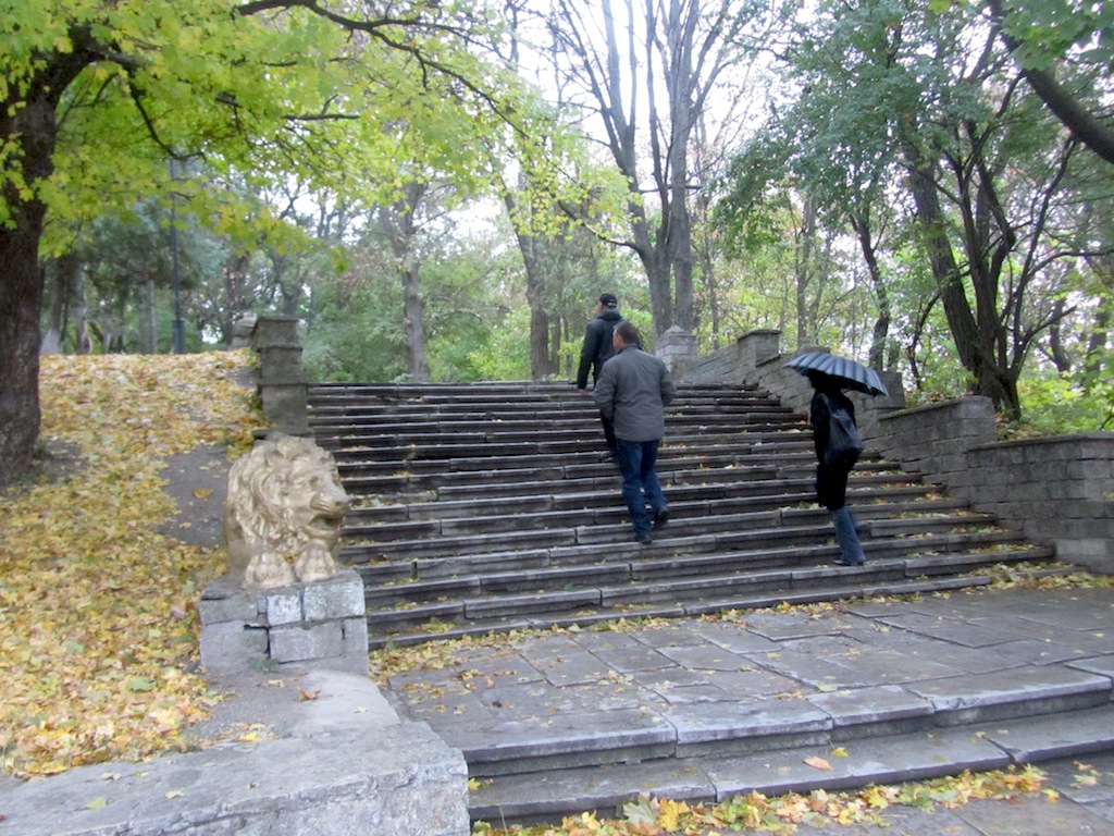 into a new town park...