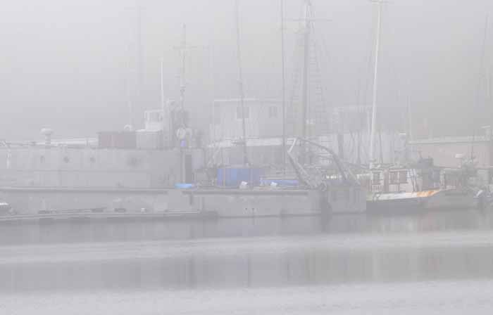 foggy Bodega Bay