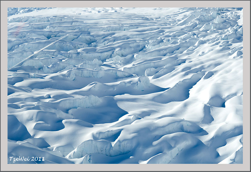 Fox Glacier