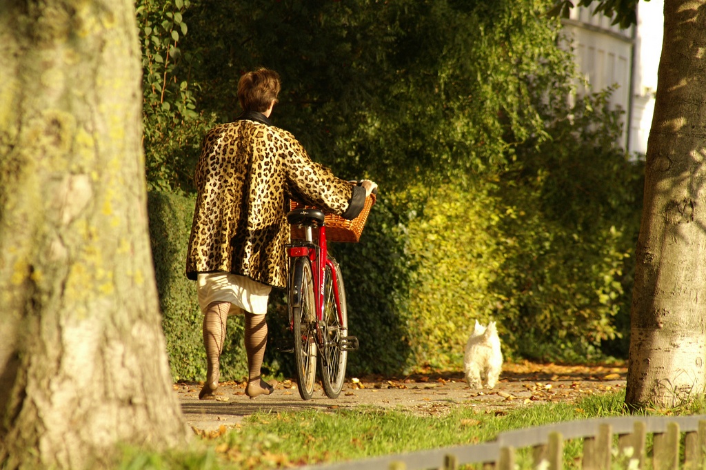 Friends in Furs