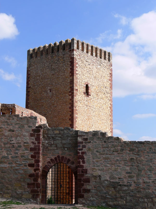 Castillo-Alcazar de Molina