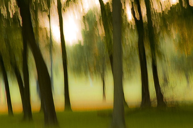Summer Storm