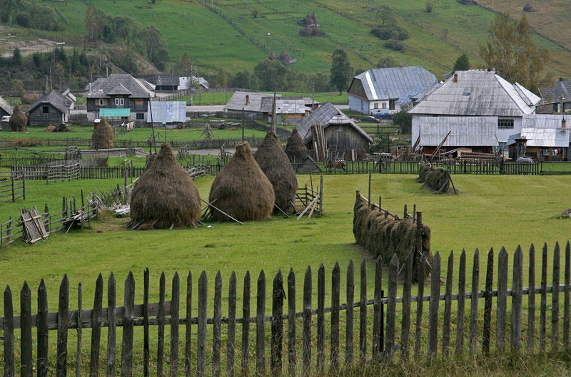 rural landscape