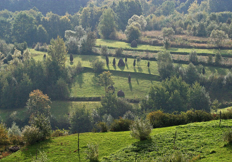 landscape in Maramures