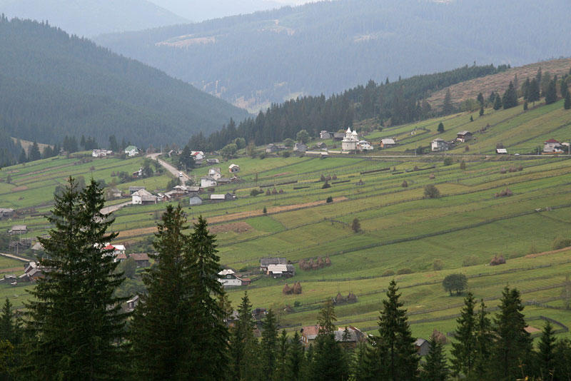 Карпаты Буковина