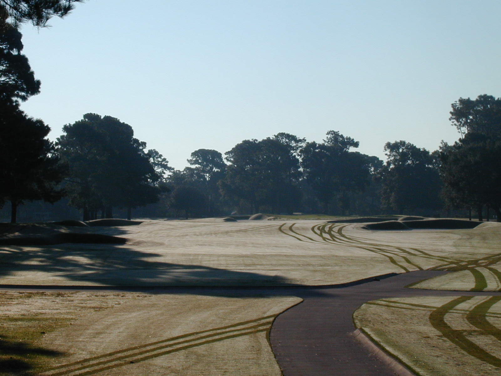 2 Tee Shot.JPG