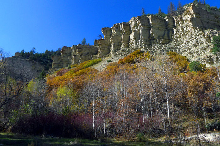 P1010013a.jpg