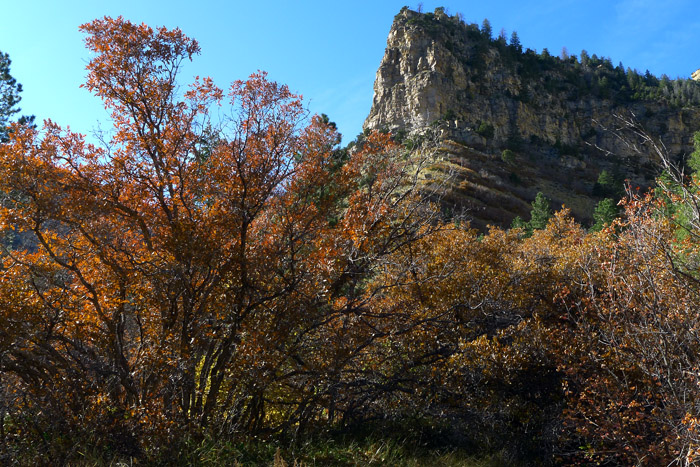 P1030266.jpg