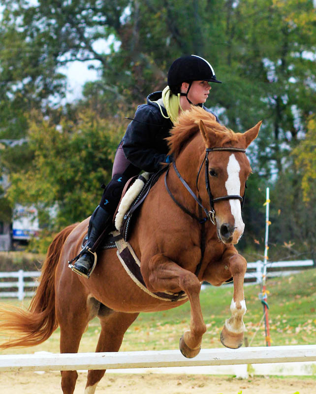 Buttercup_5