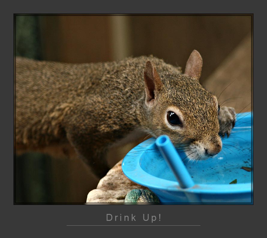 Drink Up