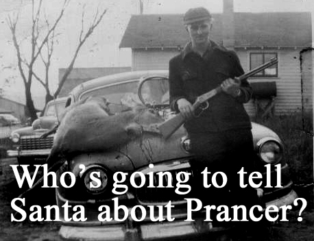 prancer001.jpg