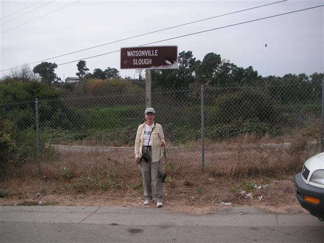 Lost in Watsonville
