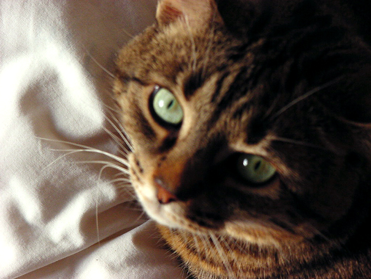 Juliet