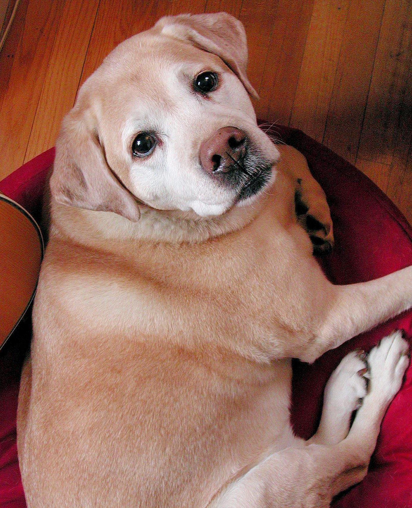 Magoo Picture from 2001.jpg