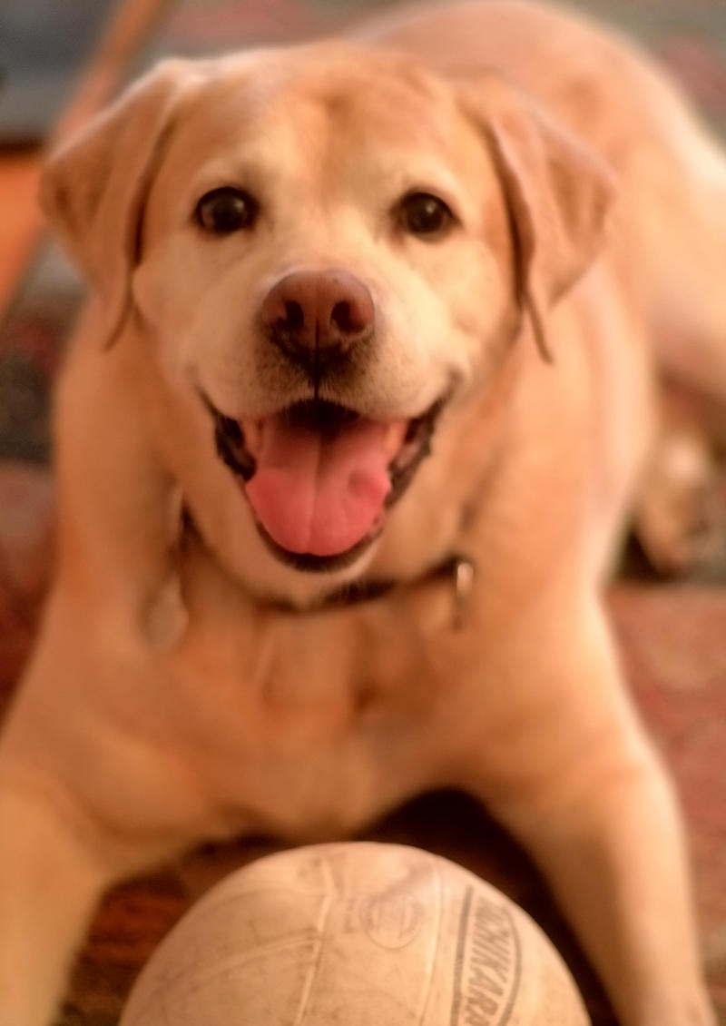 pbase Magoo Smiling November 24 2001.jpg