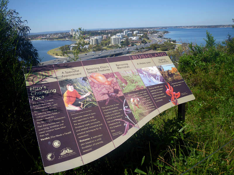 View of South Perth from Kings Park Botanic Gardens
