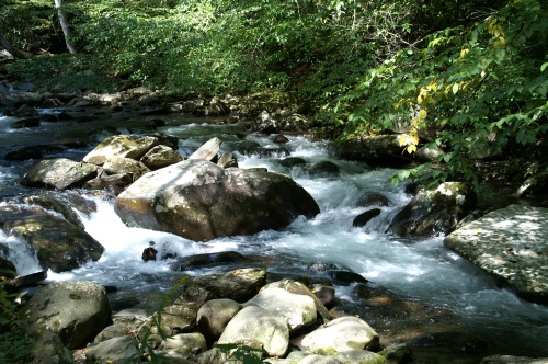 Cool Waters
