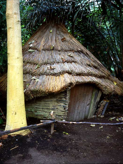 Cornwall-Eden Project, By Datta
