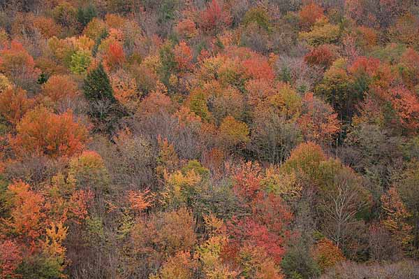 HIGHLAND HILLSIDE.jpg