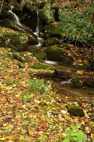 HOLLY RIVER SP 1.jpg