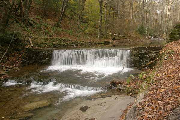 KUMBRABROW STATE FOREST 1.jpg
