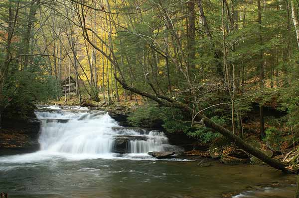 holly_river_sp_to_blackwater_falls