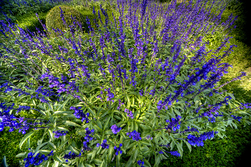 Bronx Botanical Garden